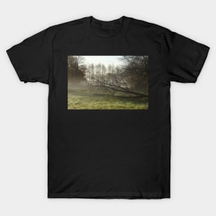 Lake, autumn mood, ground fog, hoarfrost, trees, landscape, Fischerhude, Lower Saxony, Germany T-Shirt